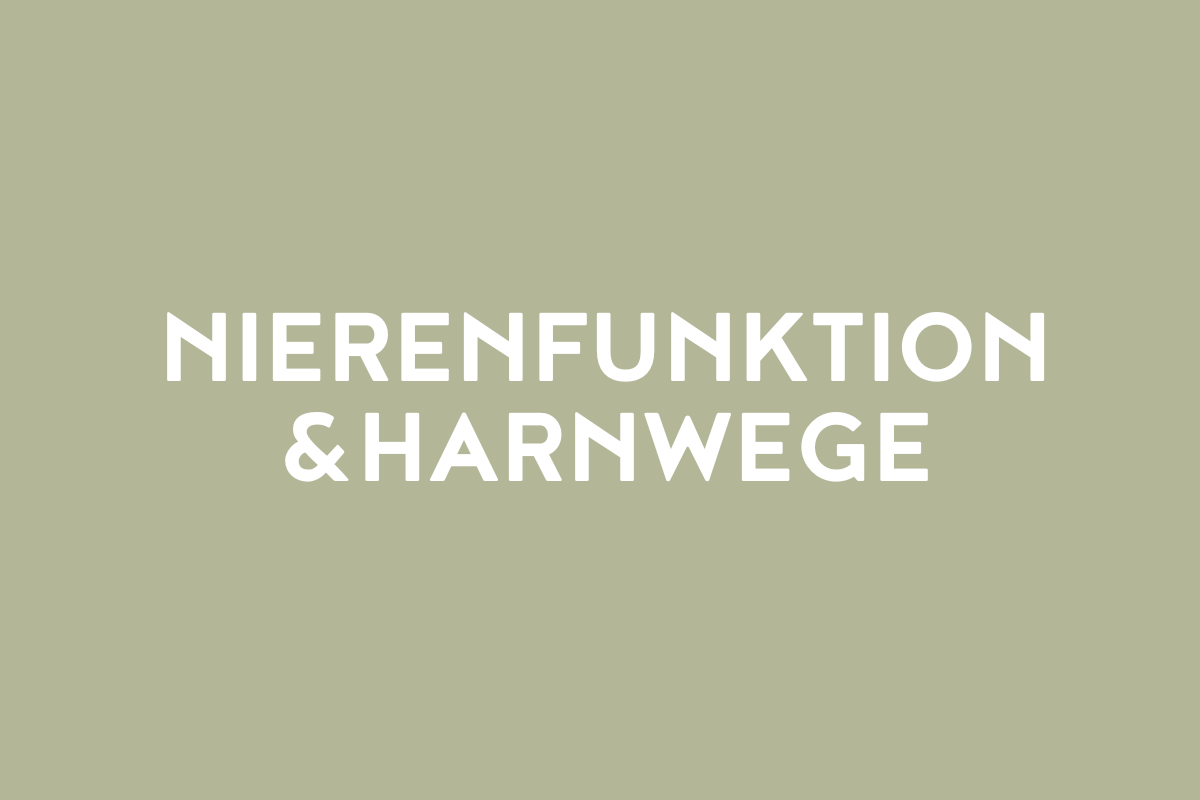 Nierenfunktion & Harnwege