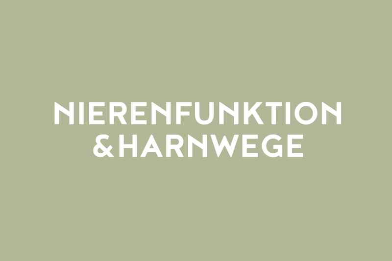 Nierenfunktion & Harnwege