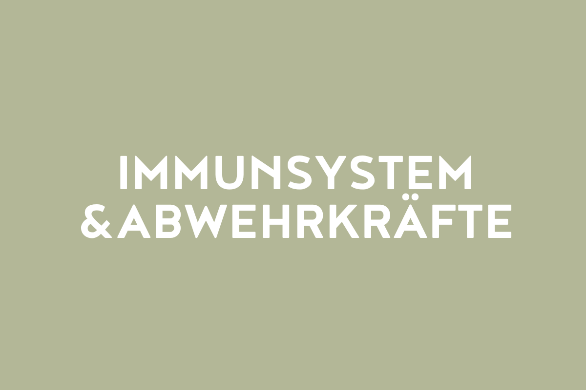 Immunsystem & Abwehrkräfte
