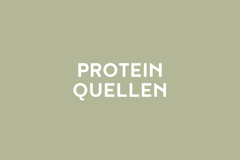 Proteinquellen