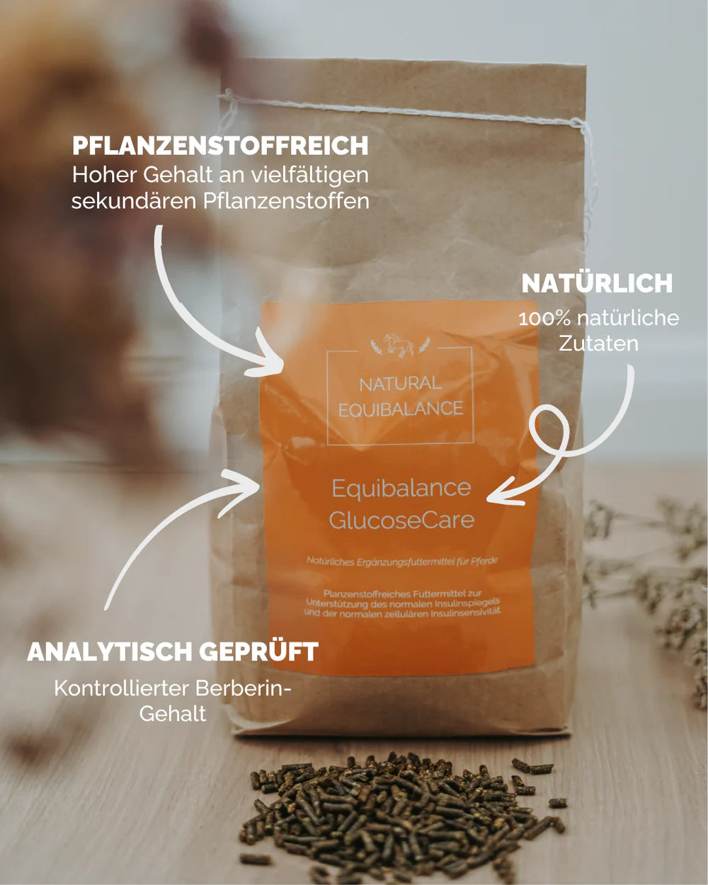 Equibalance GlucoseCare