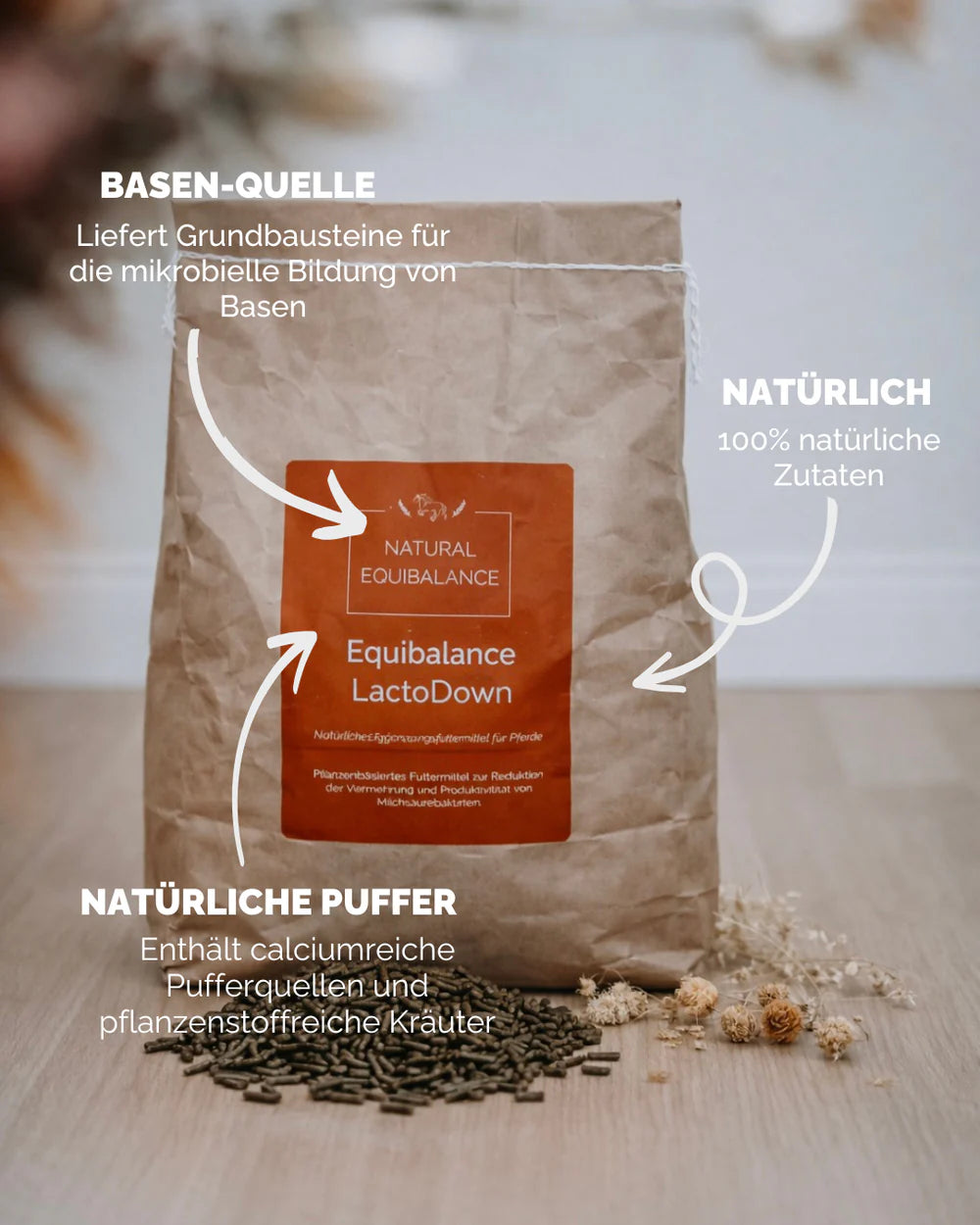 Equibalance LactoDown