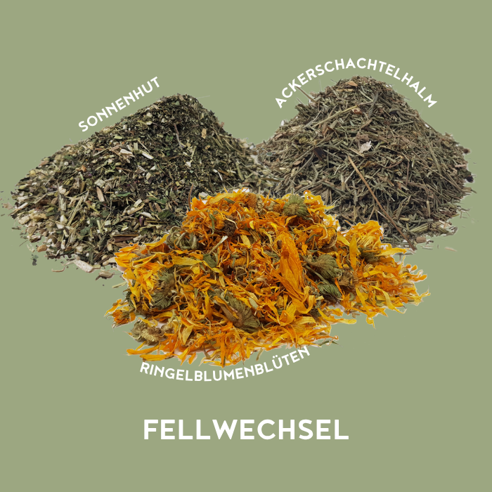 Fellwechsel