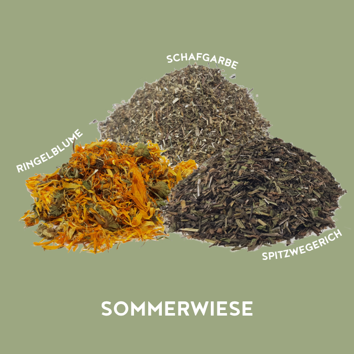 Sommerwiese
