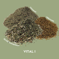 Vital I