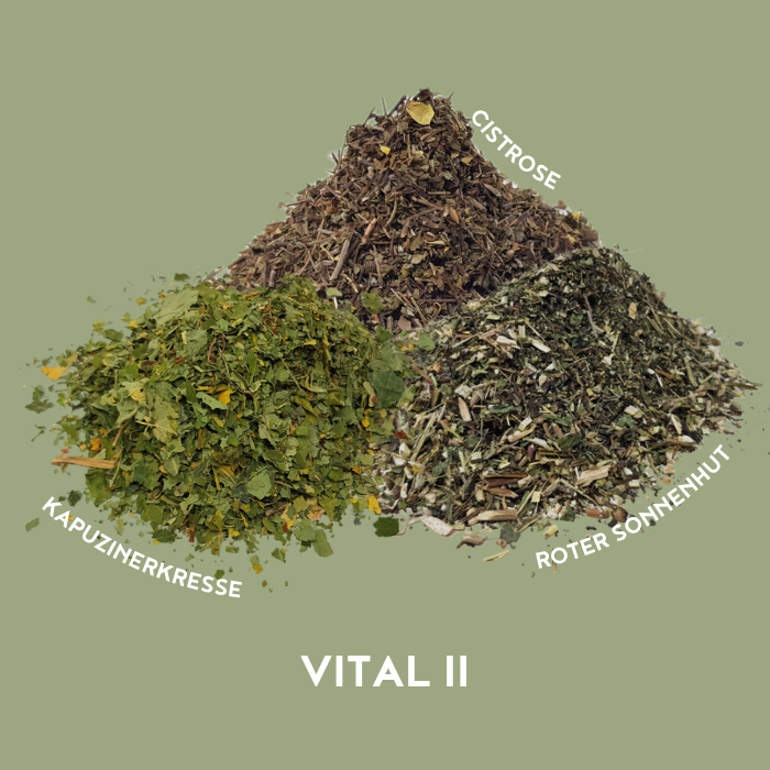 Vital II