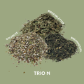 Trio N