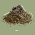 Trio L