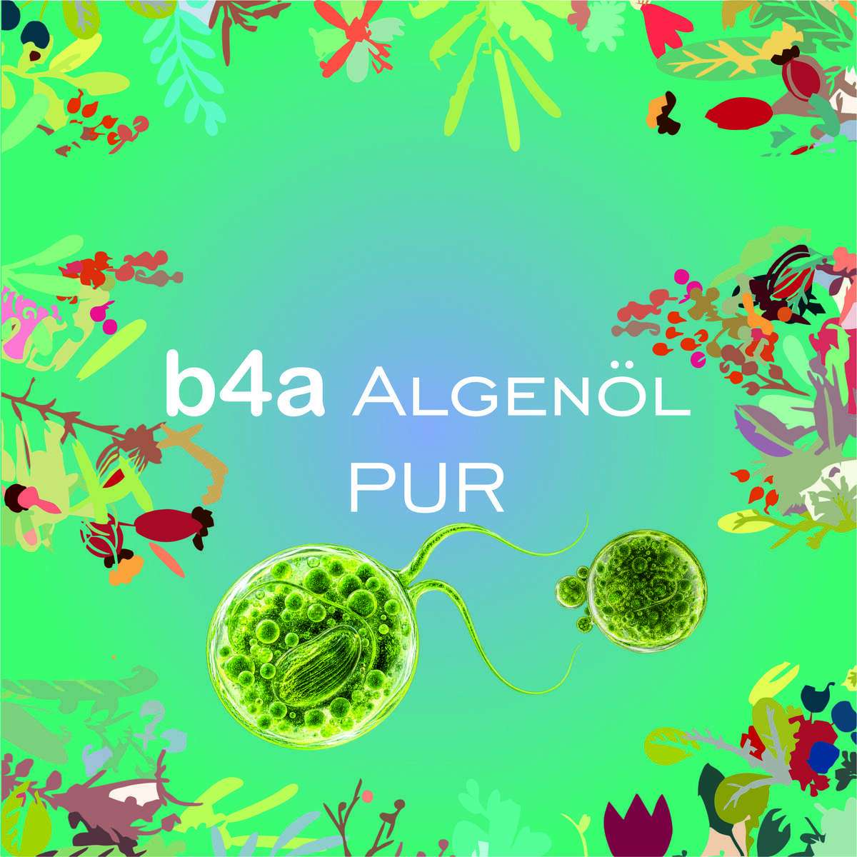 b4a Algenöl PUR