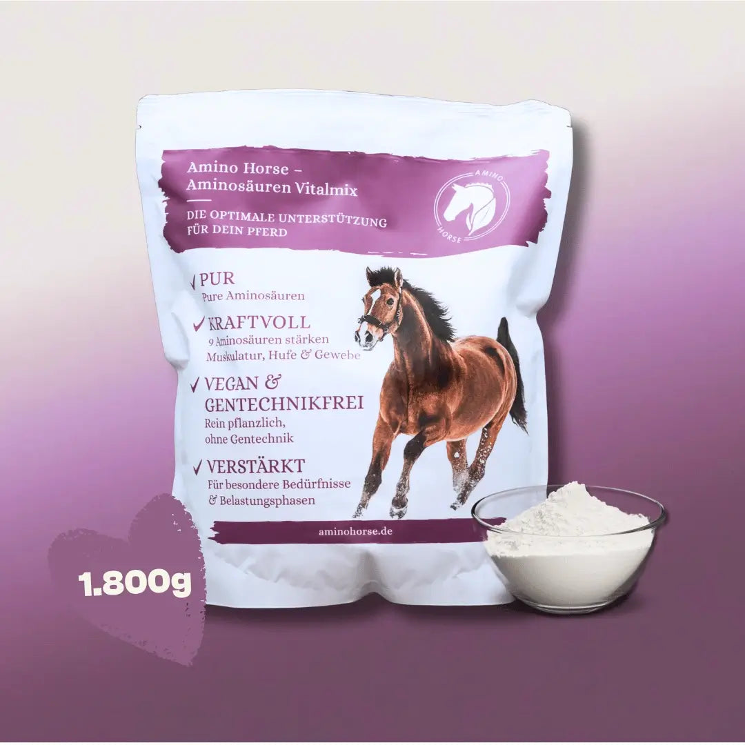 Aminosäuren Vitalmix