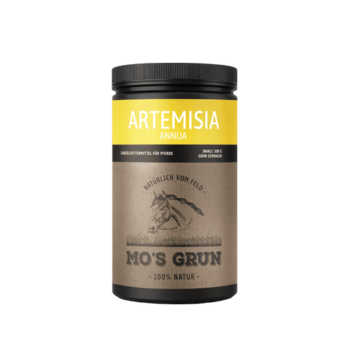 Artemesia Annua Pulver von MO´S GRUN