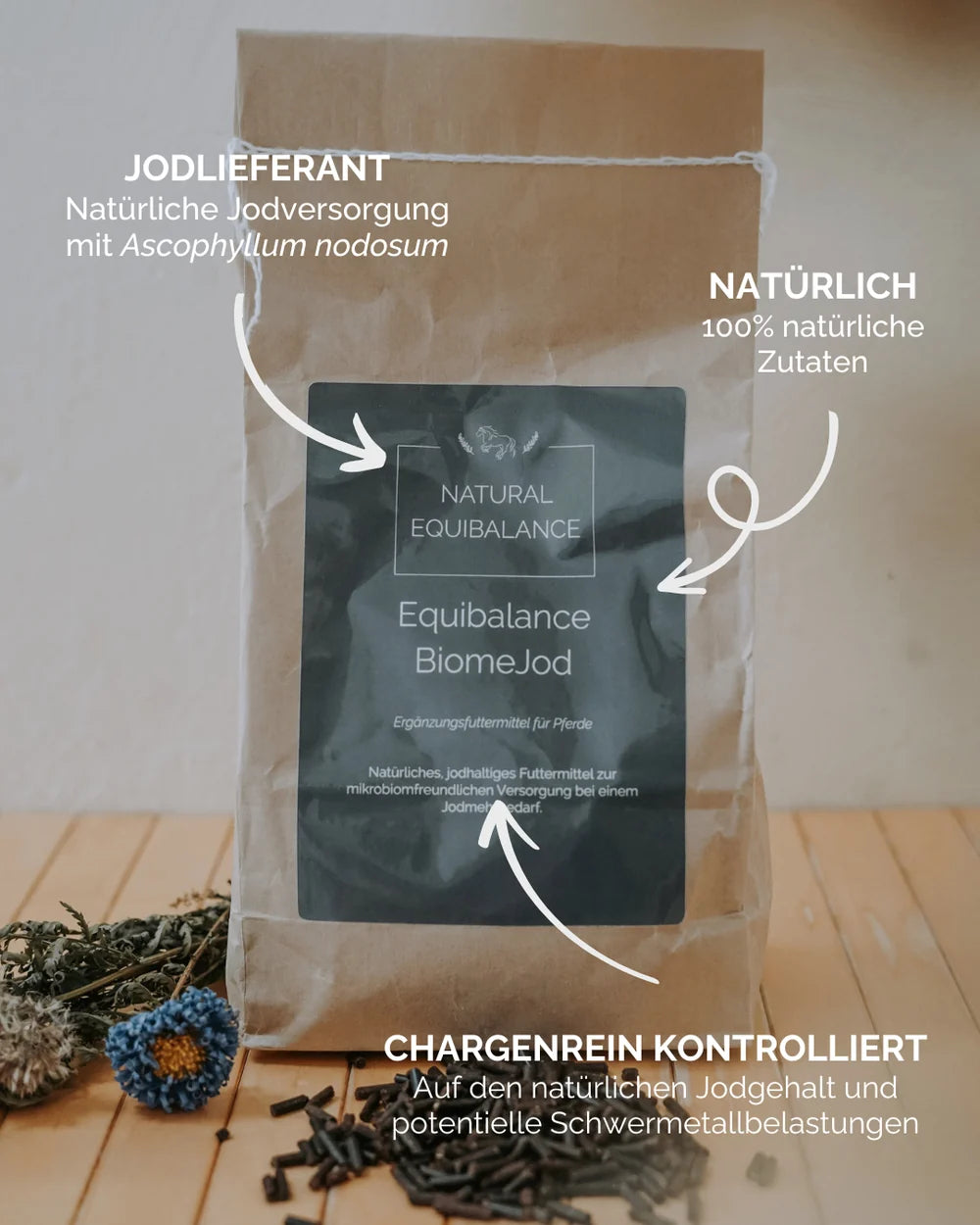 Equibalance BiomeJod