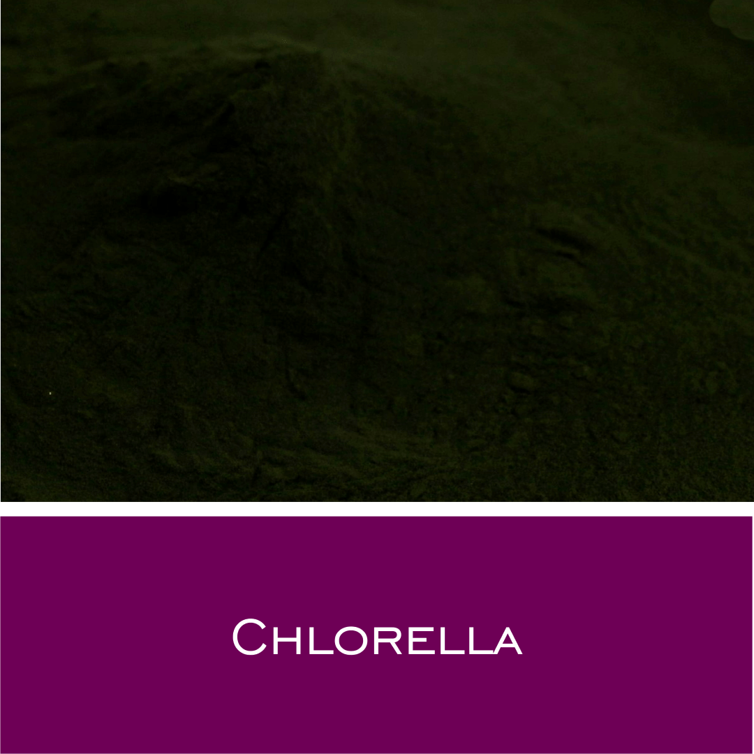 Chlorella