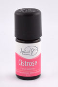 Cistrose Öl Bio 5 ml