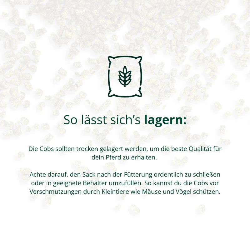 Bundle "Benno-Hex" Biohof Elmengrund