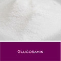 Glucosamin HCL Pulver
