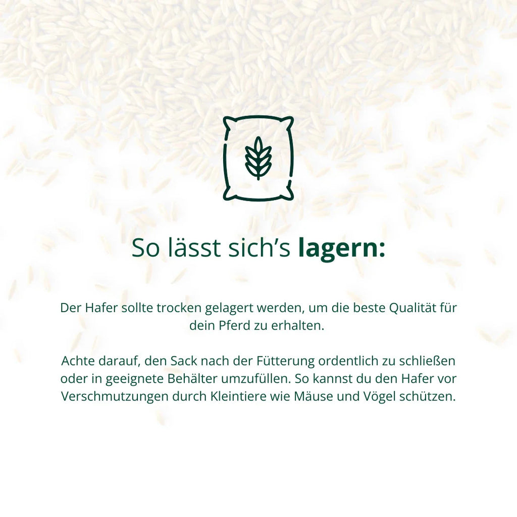 BIO Hafer Biohof Elmengrund