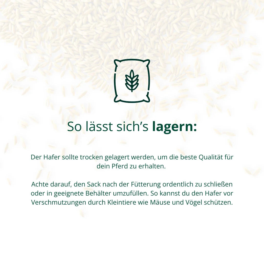 BIO Hafer Biohof Elmengrund