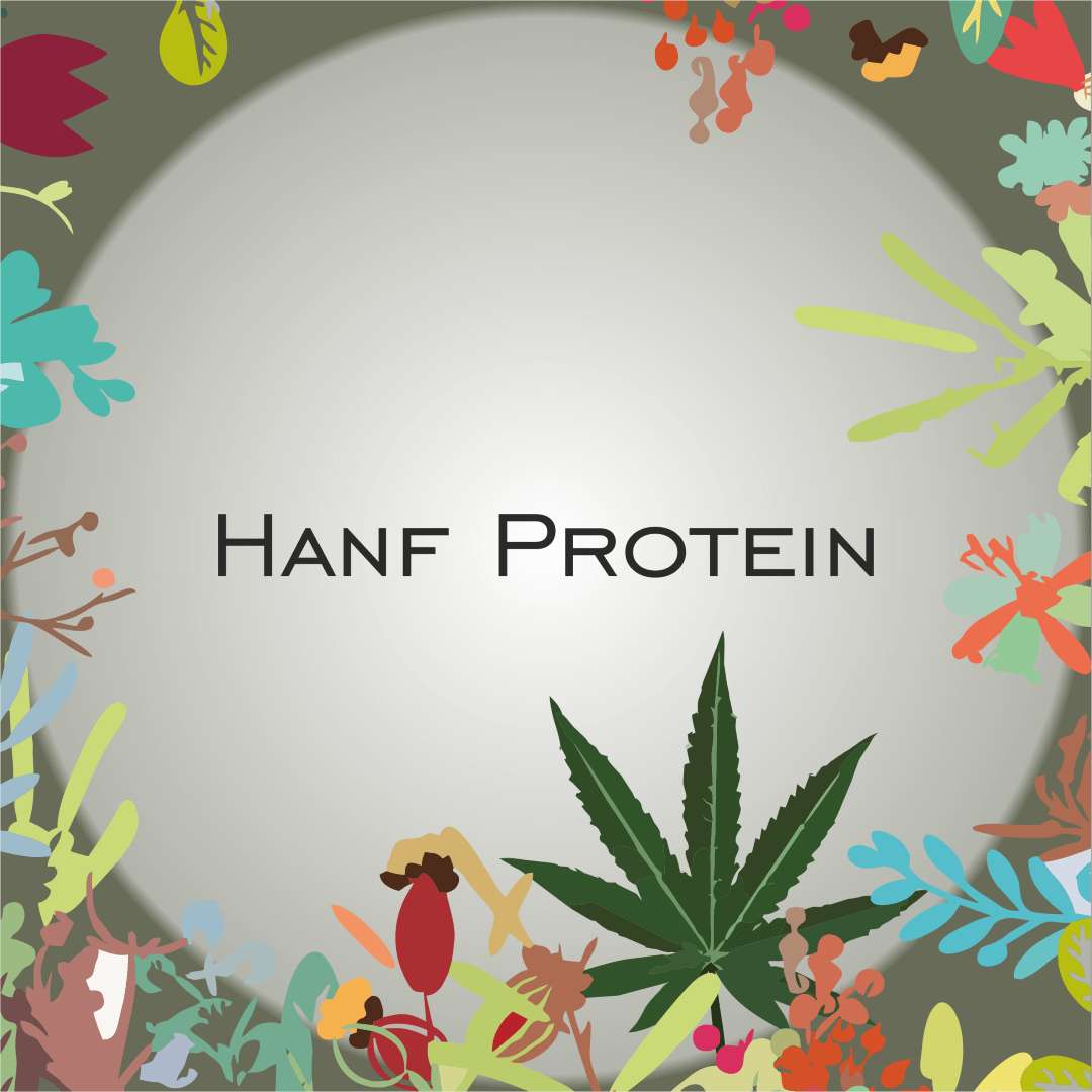 Hanfprotein