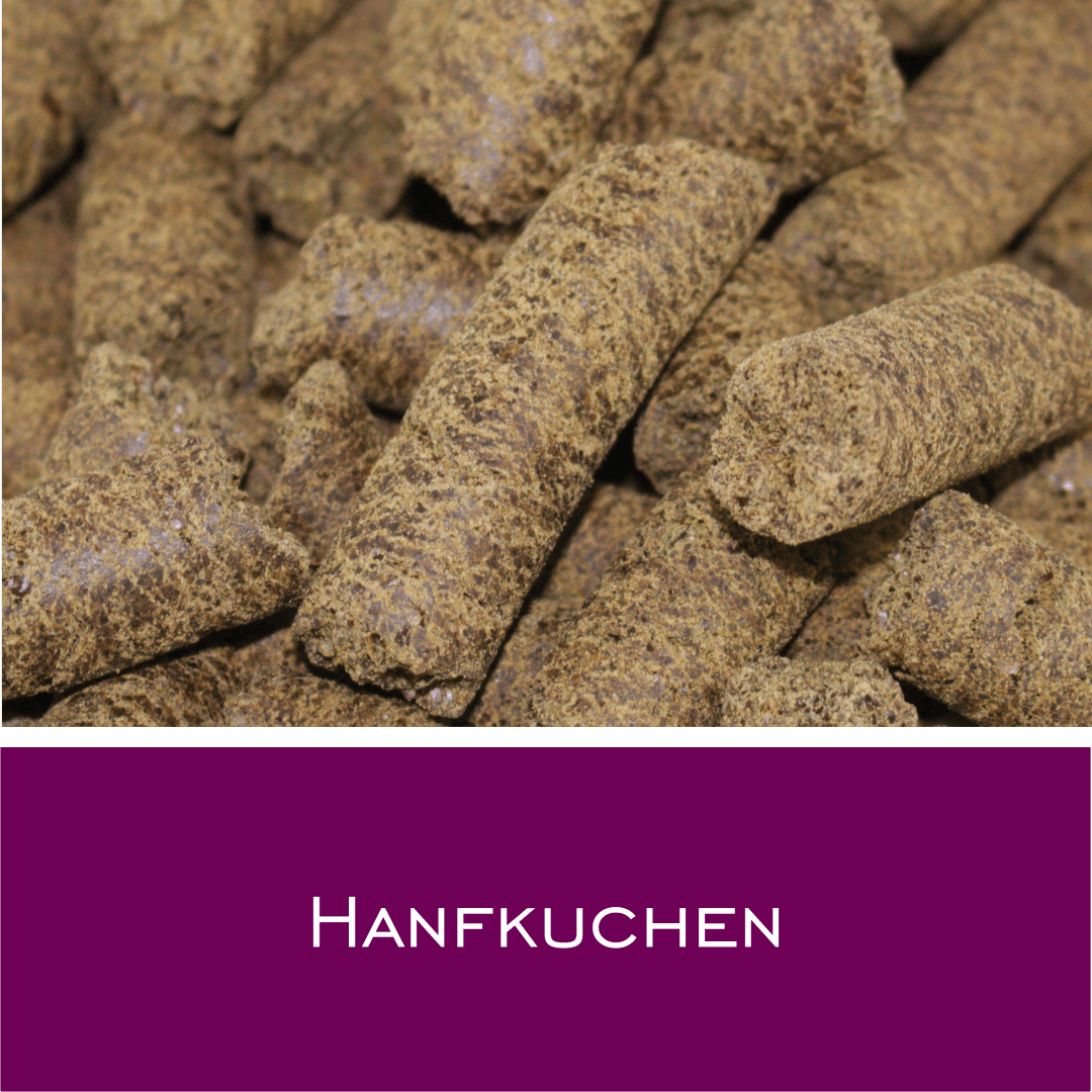 Hanfkuchen