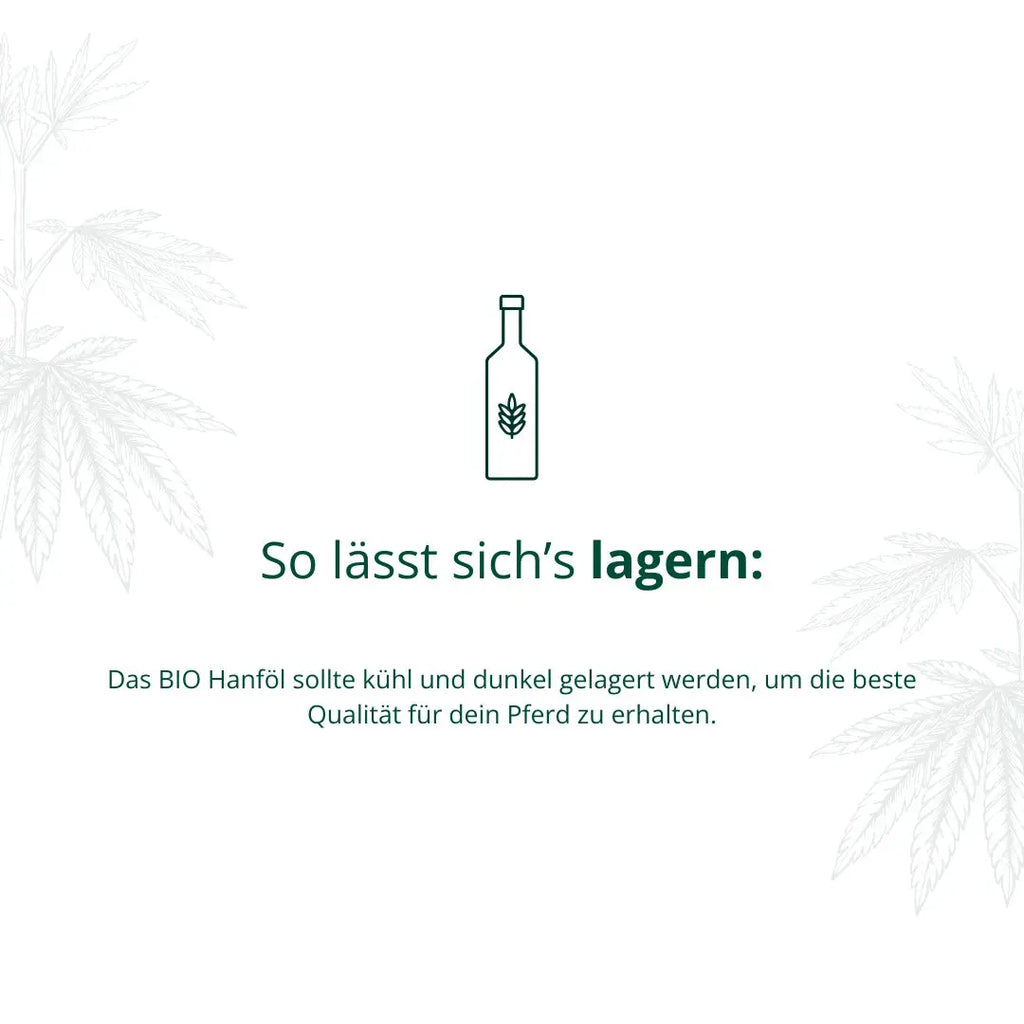BIO Hanföl Biohof Elmengrund
