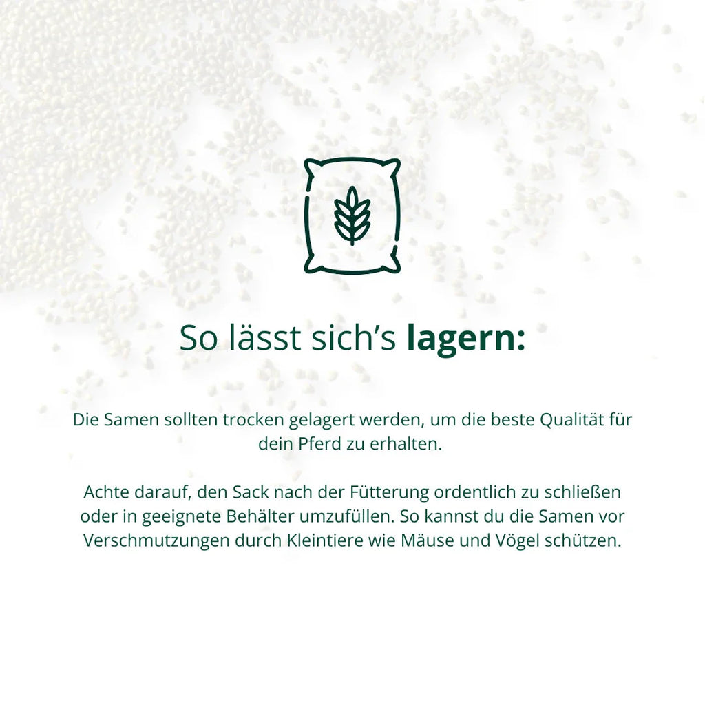 BIO Hanfsamen Biohof Elmengrund