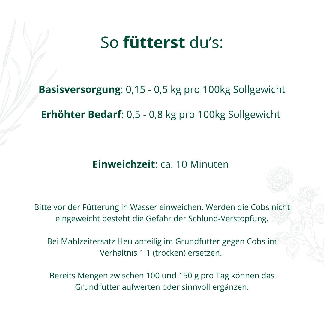 BIO Kräuter-Heucobs