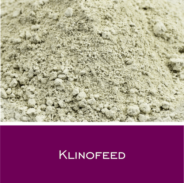 Klinofeed - Zeolith