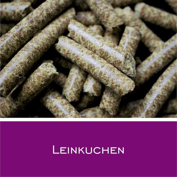 Leinkuchen