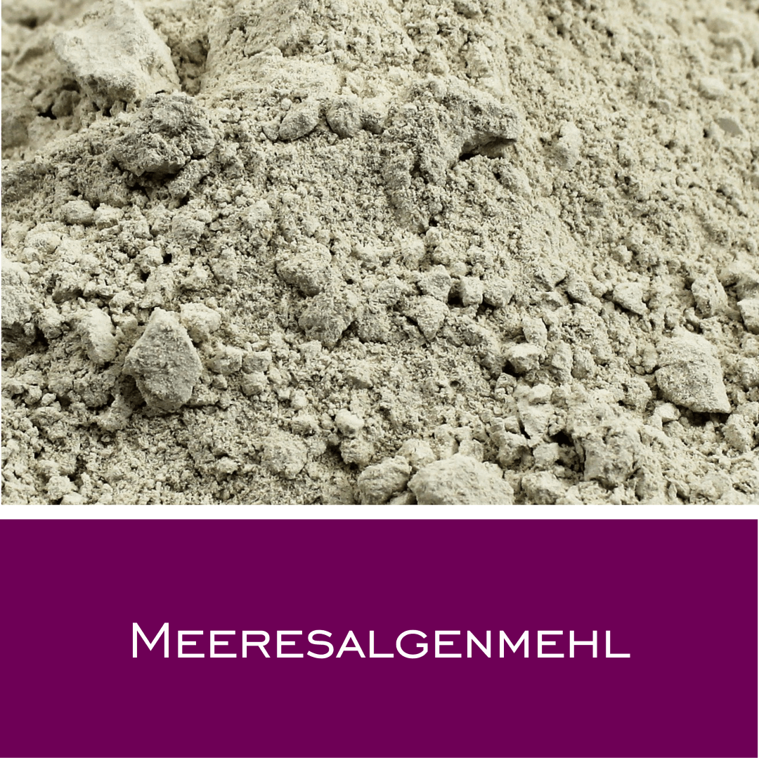 Meeresalgenmehl