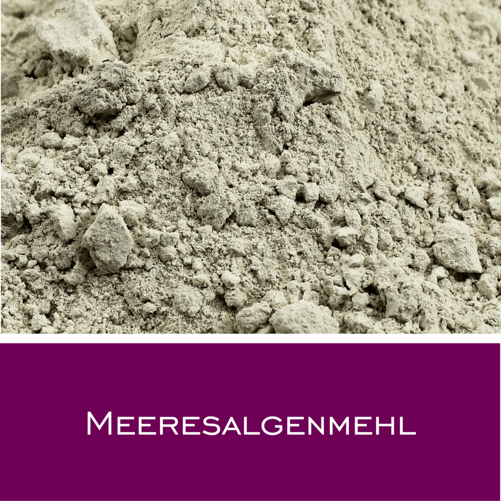 Meeresalgenmehl
