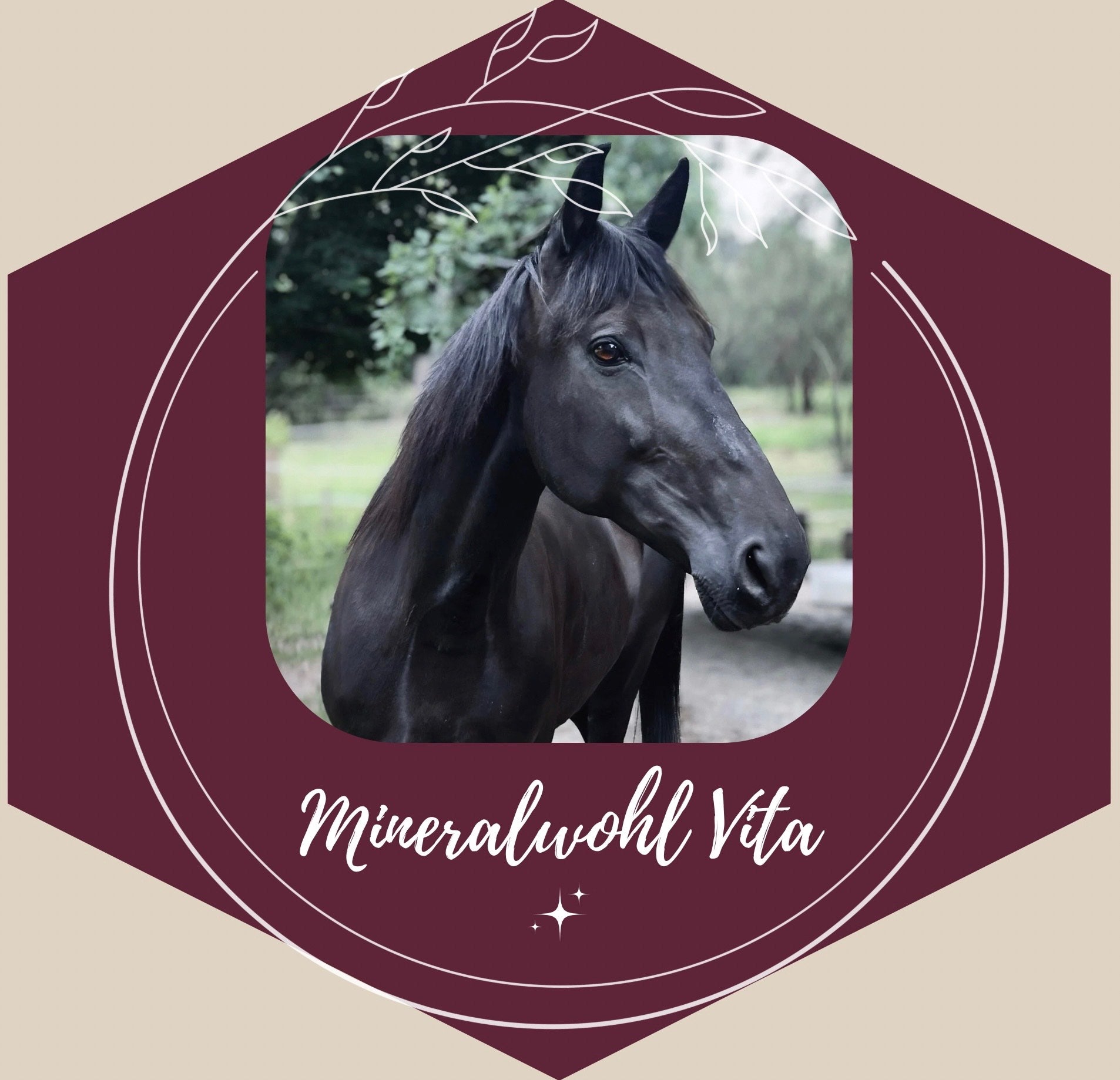Mineralwohl Vita