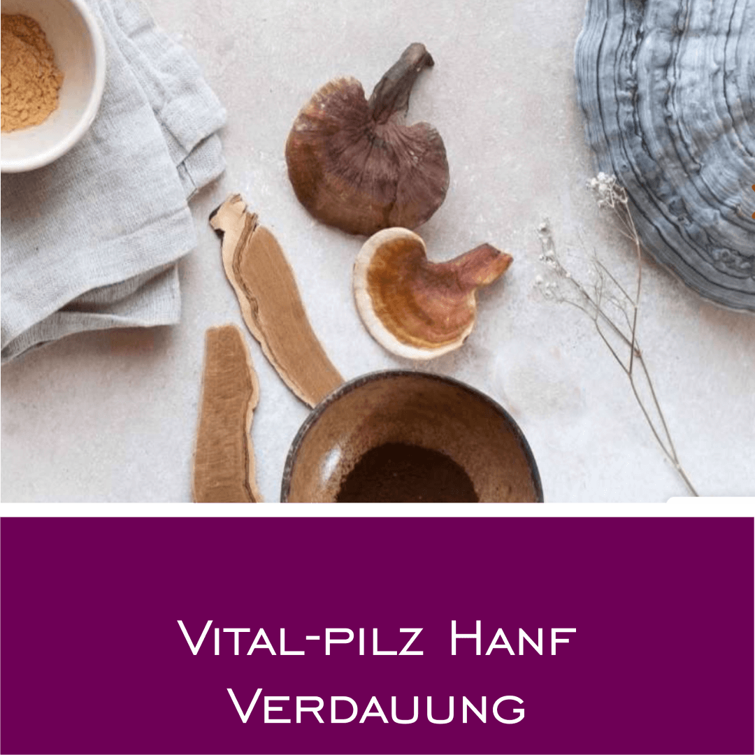 Vital-Pilz Hanf Verdauung