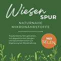 WiesenSpur mit Selen