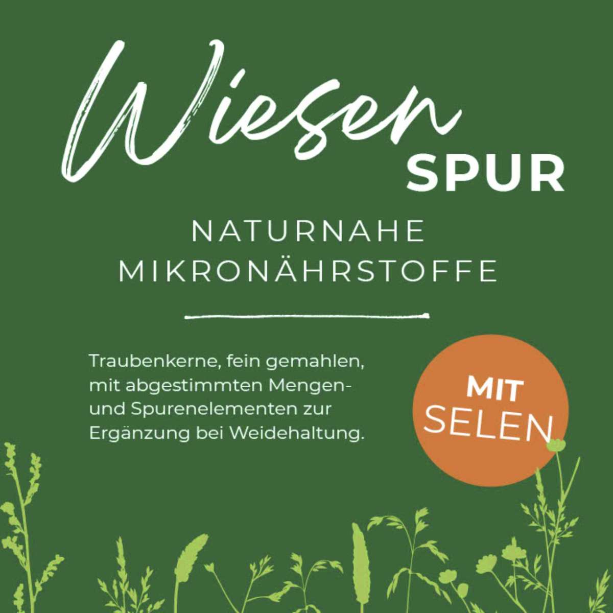 WiesenSpur mit Selen
