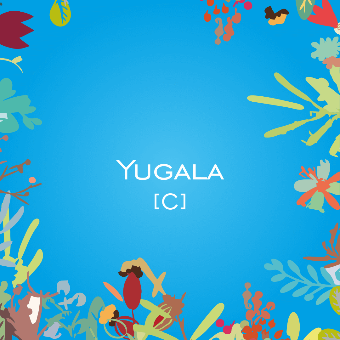 Mineralfutter Yugala C