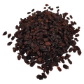 Berberitzenbeeren, ganz