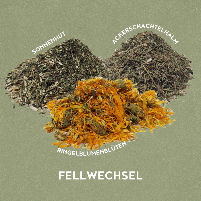 Fellwechsel