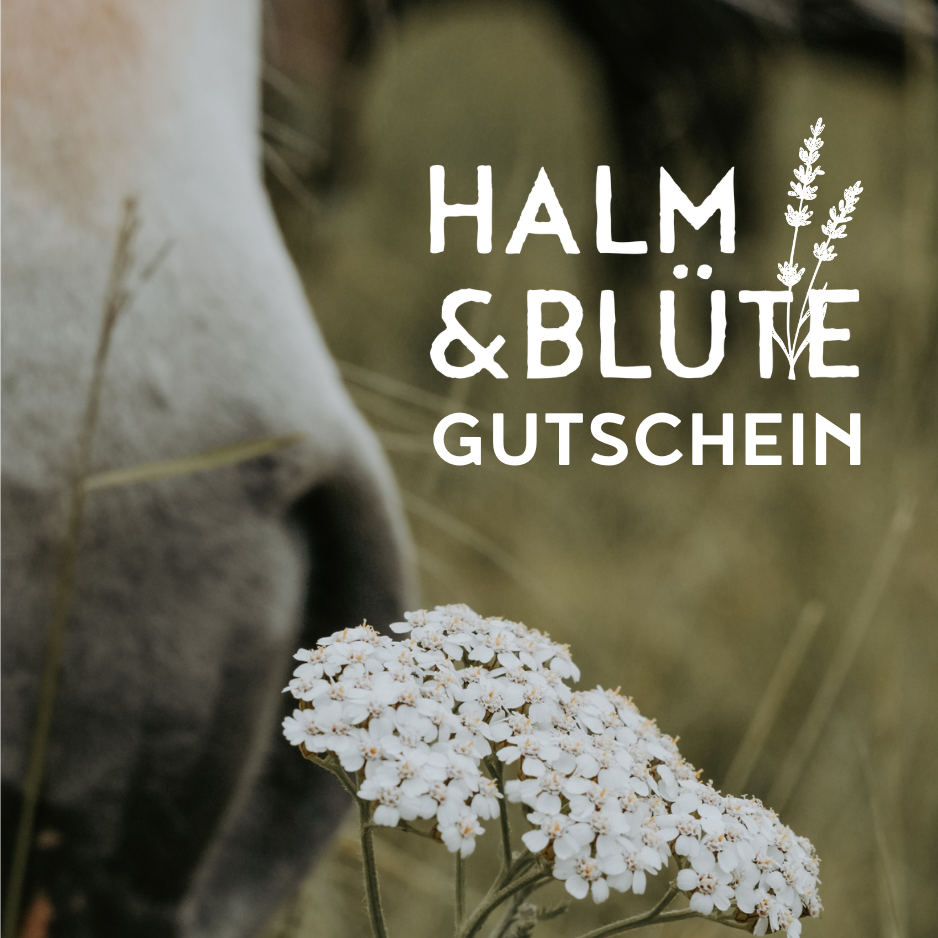 HALM&BLÜTE Gutschein