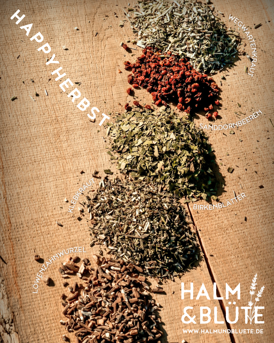 HAPPY HERBST Kräutermischung by HALM&BLÜTE